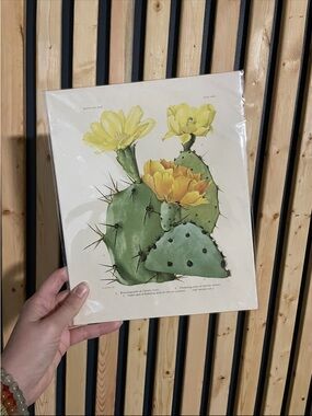 Botanical Cactus Print with Yellow Blooms